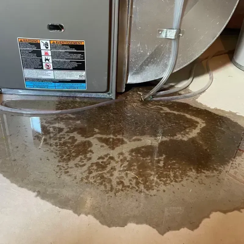 Appliance Leak Cleanup in Decatur, IL